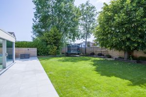 Photo 12- click for photo gallery